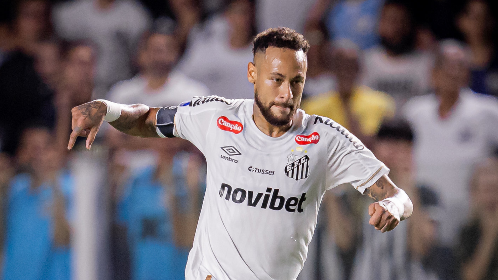 Foto: Raul Baretta / Santos FC