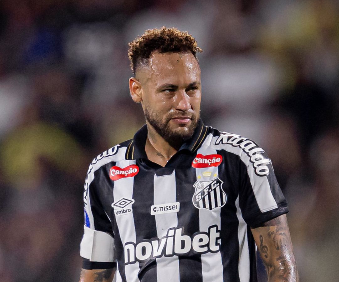 Foto: Raul Baretta / Santos FC