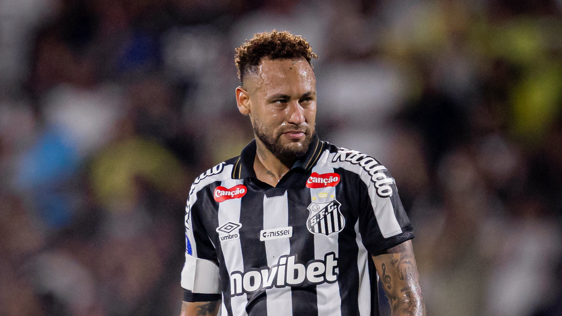 Foto: Raul Baretta / Santos FC
