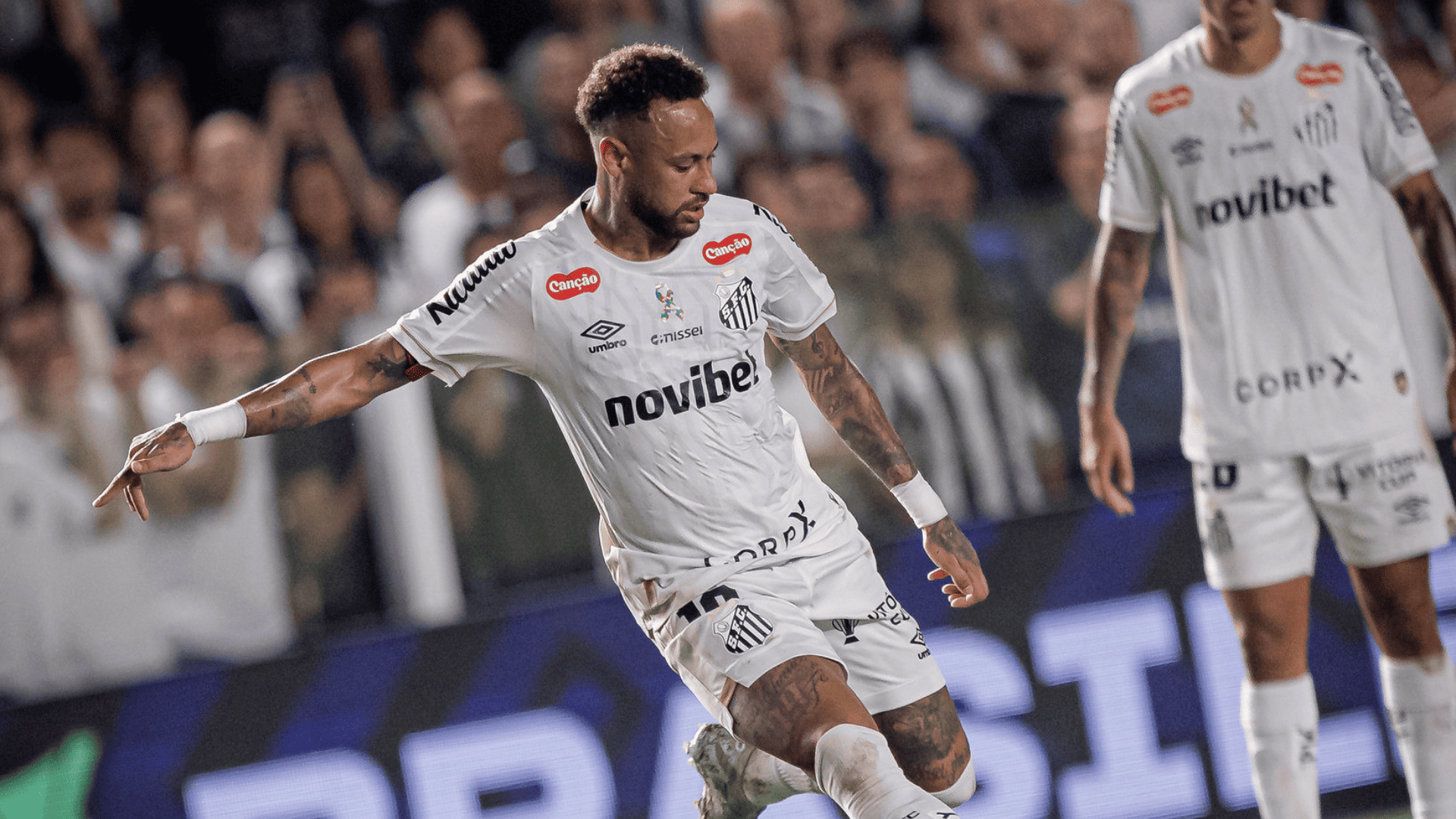 Foto: Raul Baretta / Santos FC