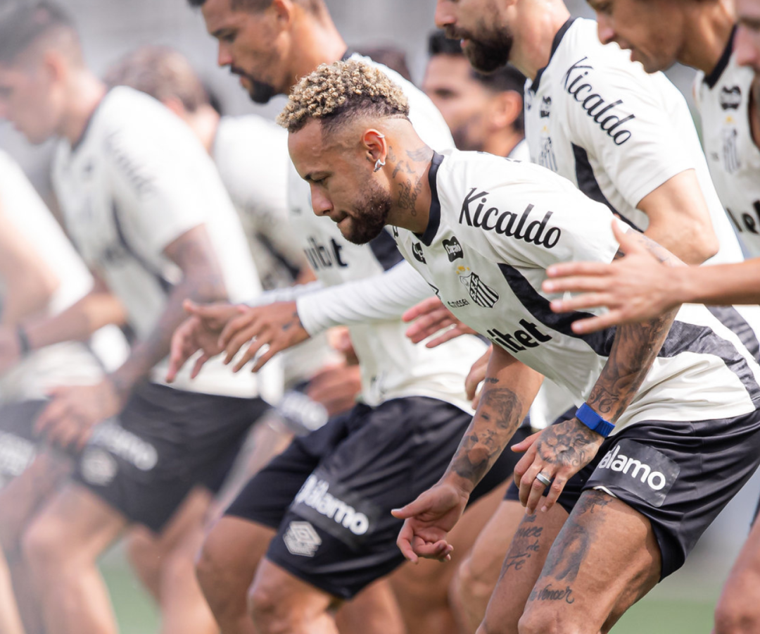 Foto: Raul Baretta / Santos FC