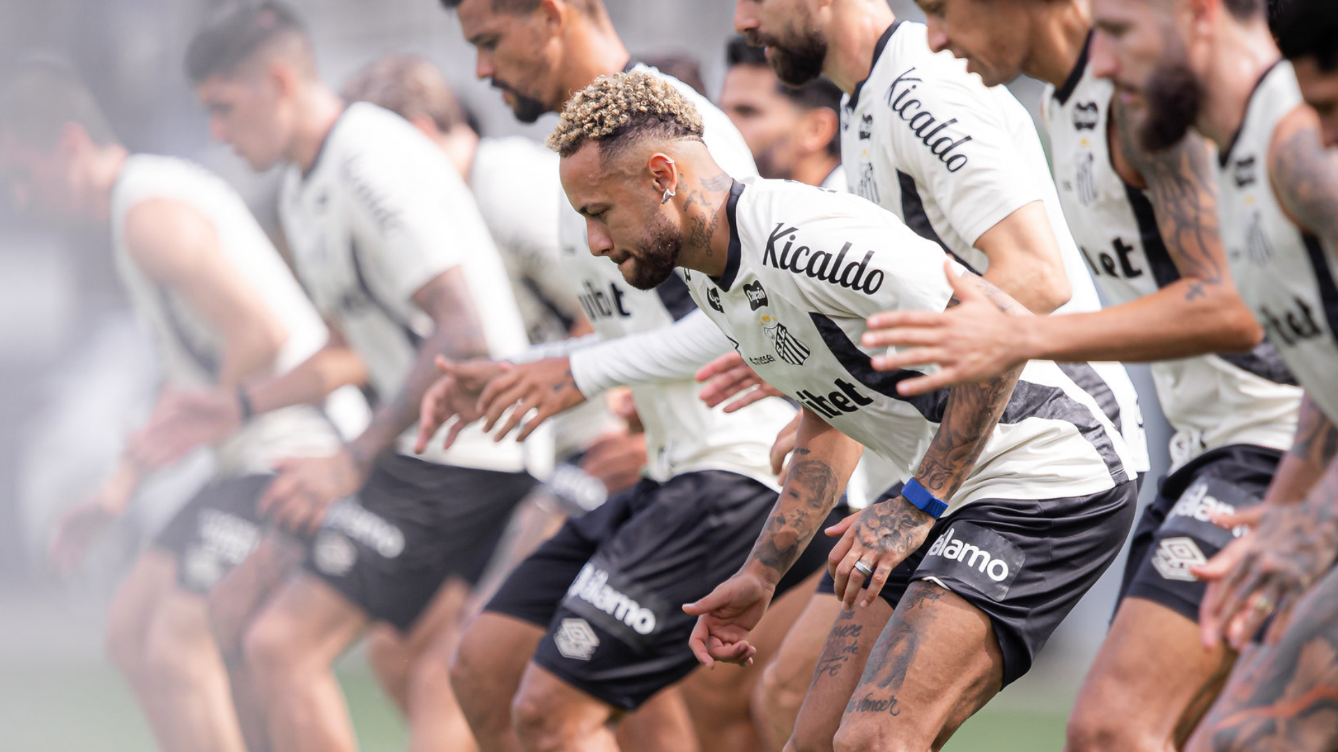 Foto: Raul Baretta / Santos FC