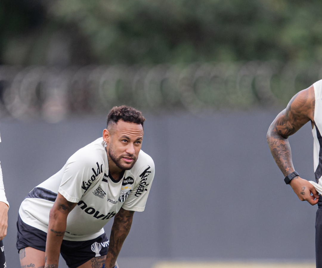 Foto: Raul Baretta / Santos FC