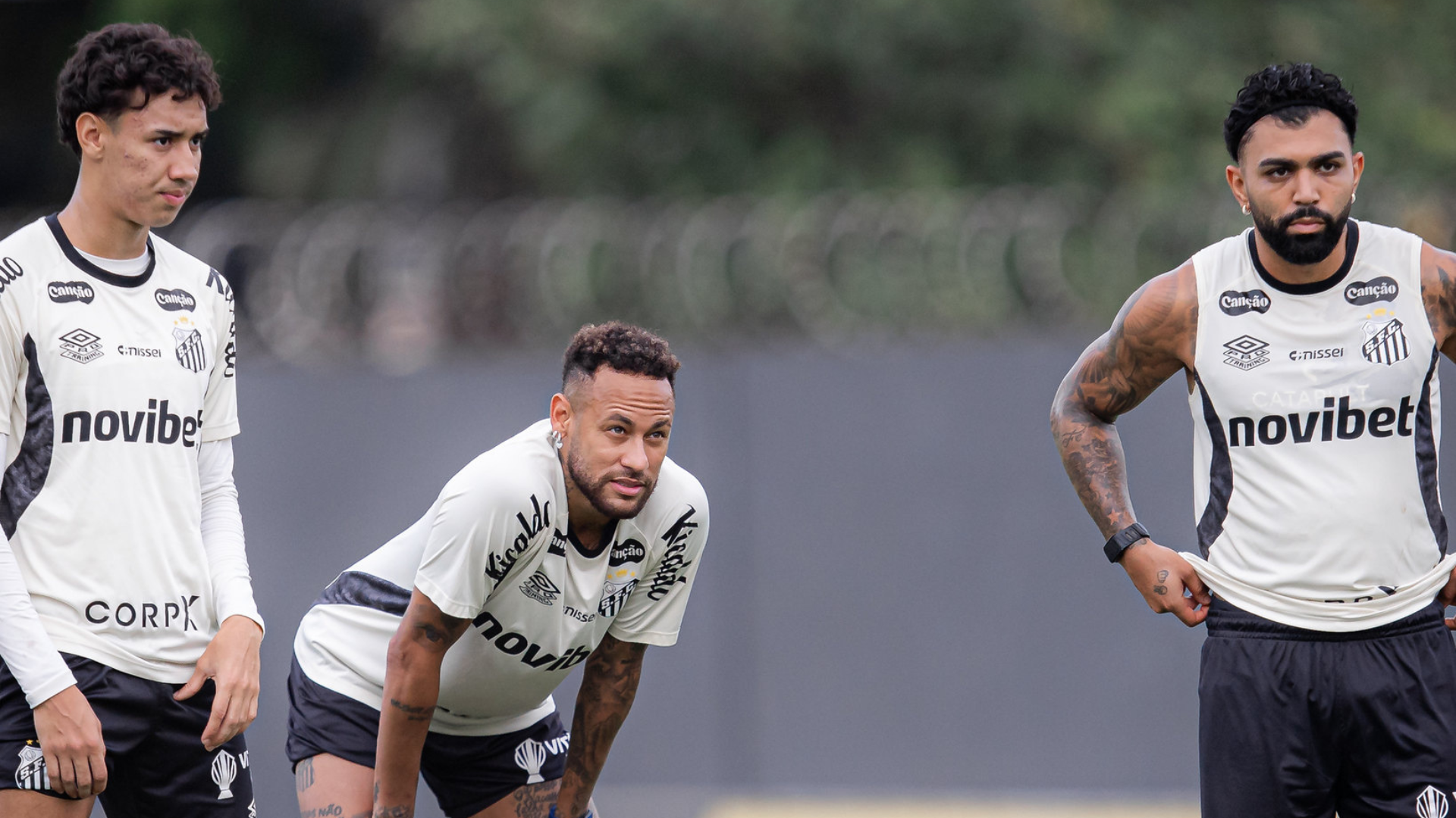 Foto: Raul Baretta / Santos FC