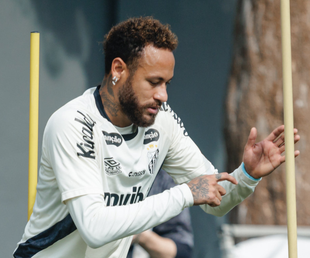 Foto: Raul Baretta / Santos FC