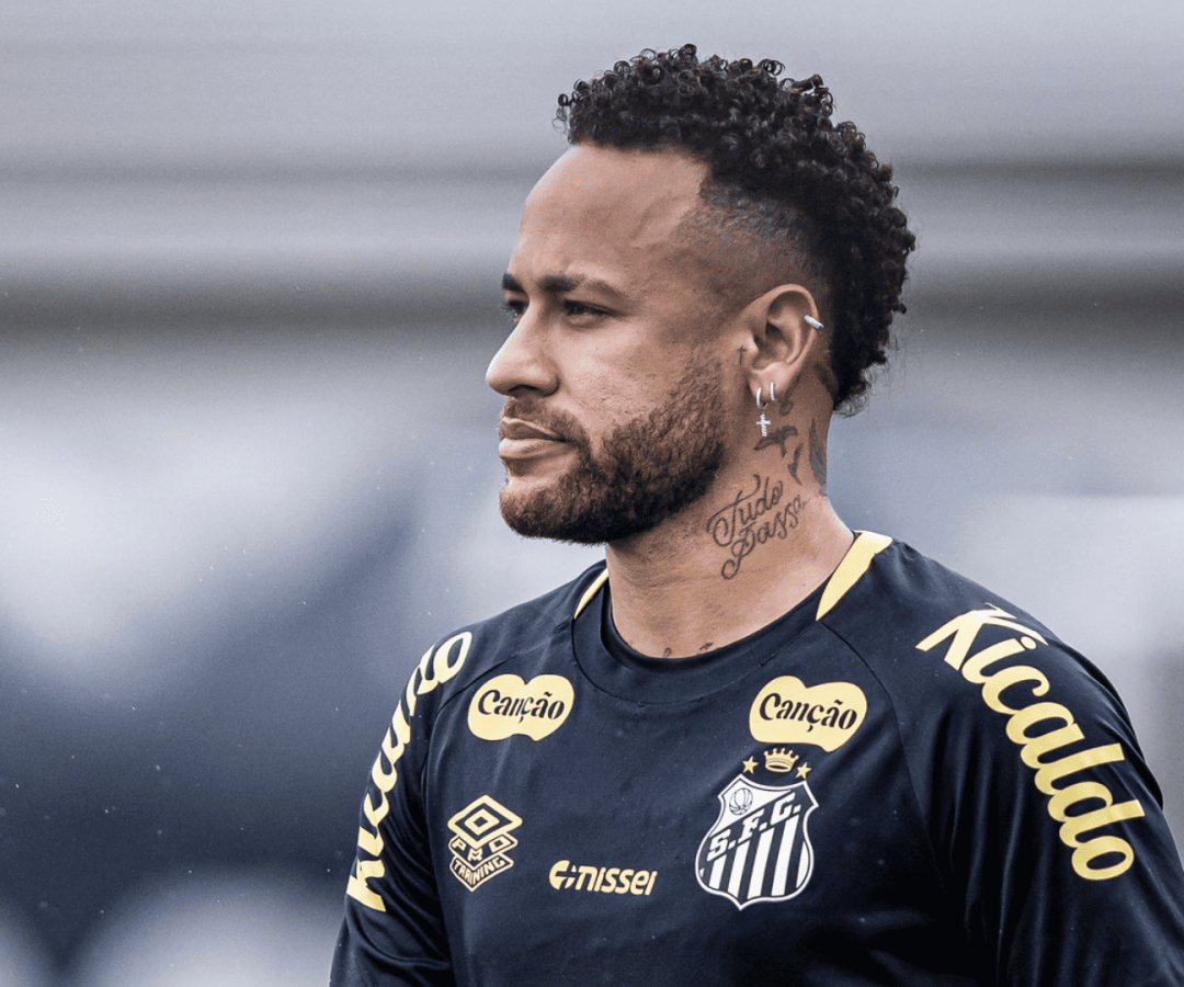 Foto: Raul Baretta / Santos FC