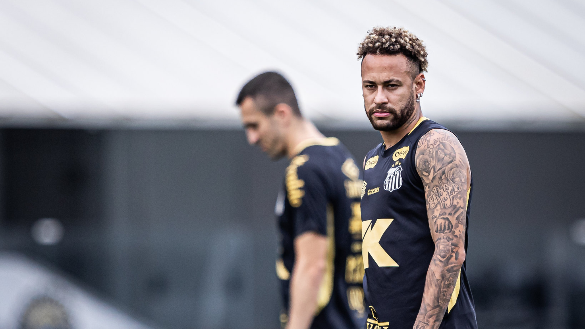 Foto: Raul Baretta / Santos FC