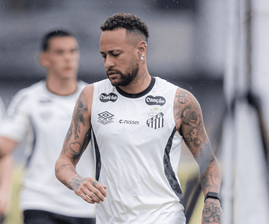 Foto: Raul Baretta / Santos FC