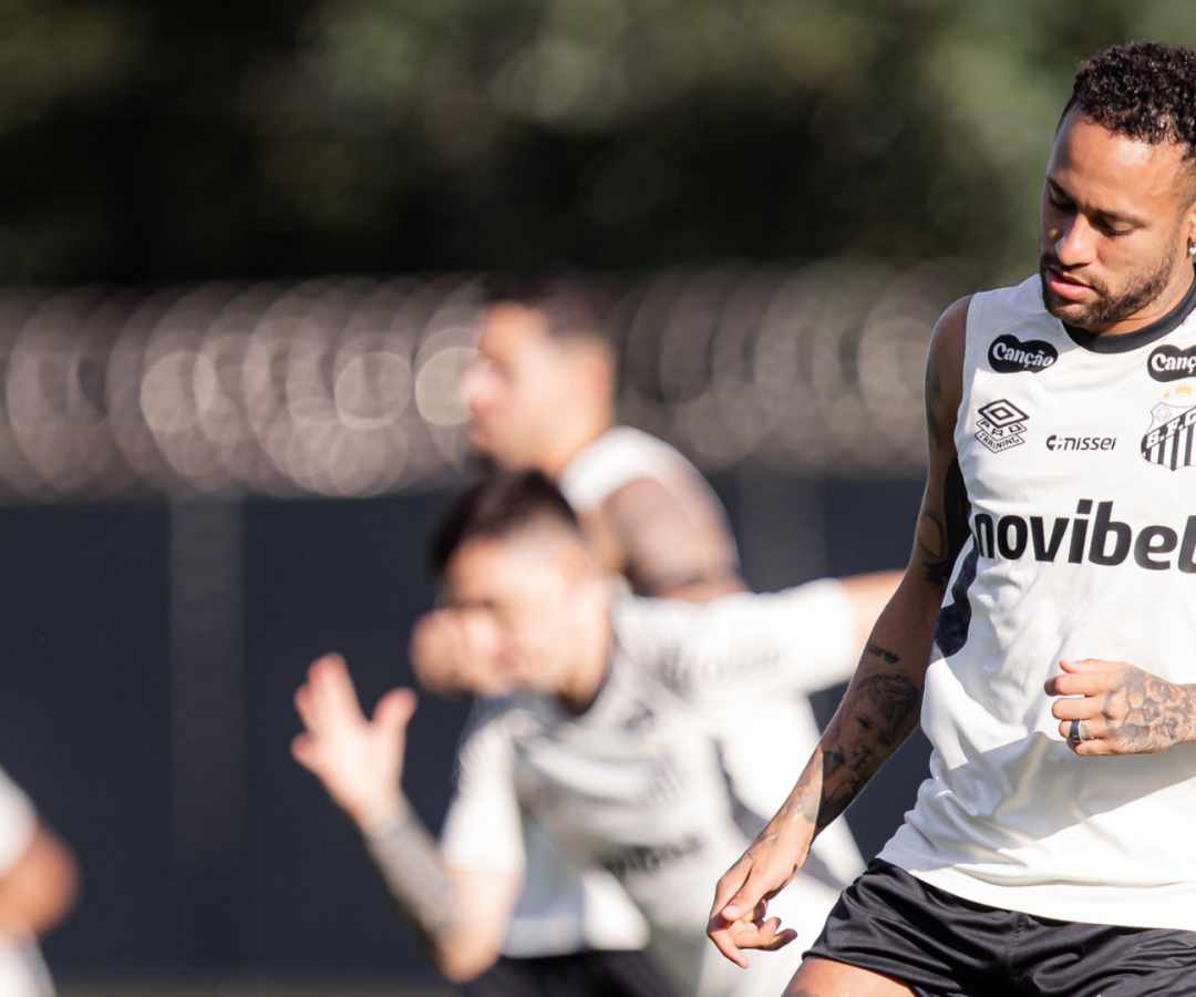 Foto: Raul Baretta / Santos FC