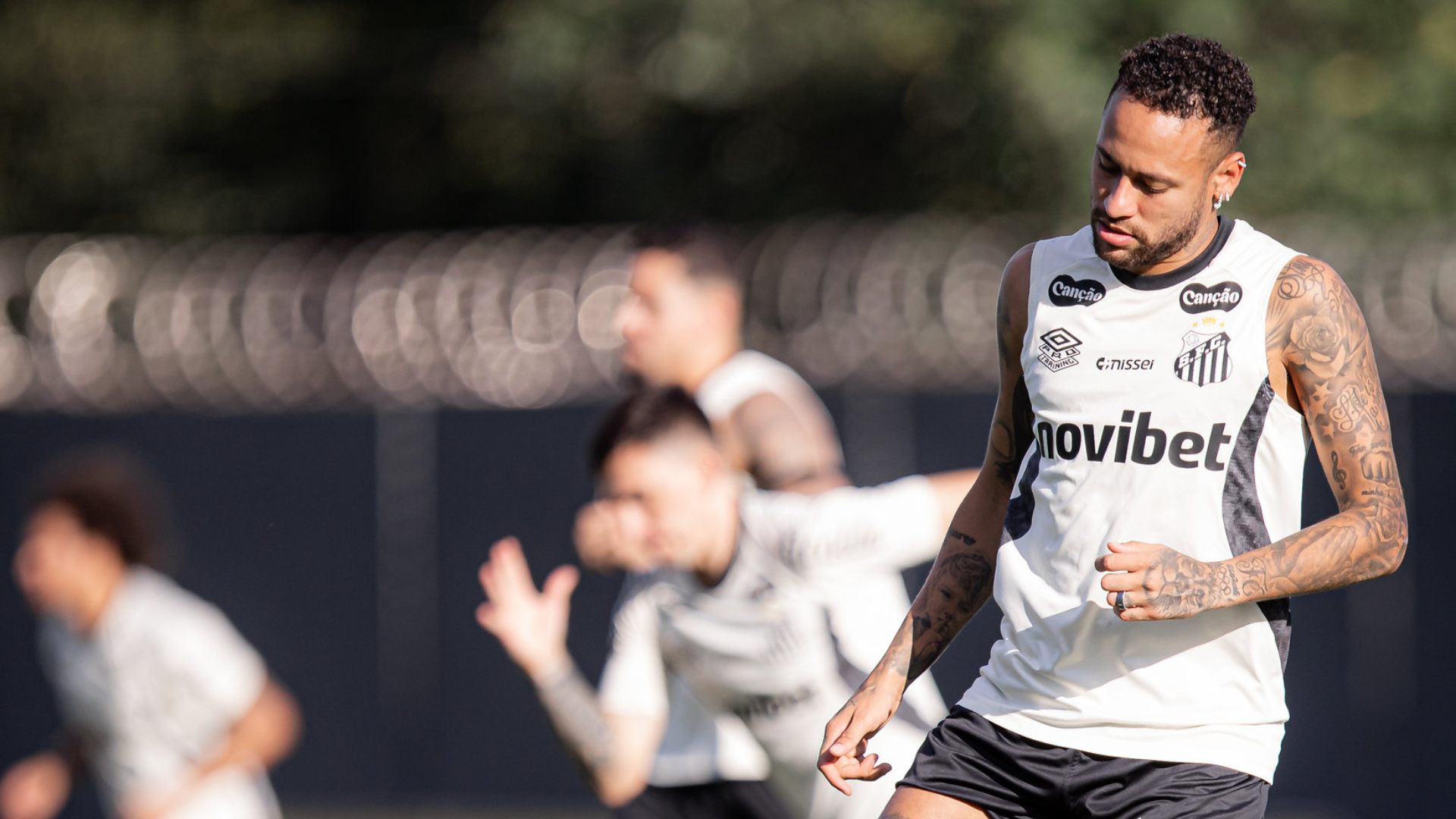 Foto: Raul Baretta / Santos FC