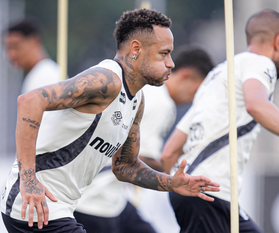 Foto: Raul Baretta / Santos FC