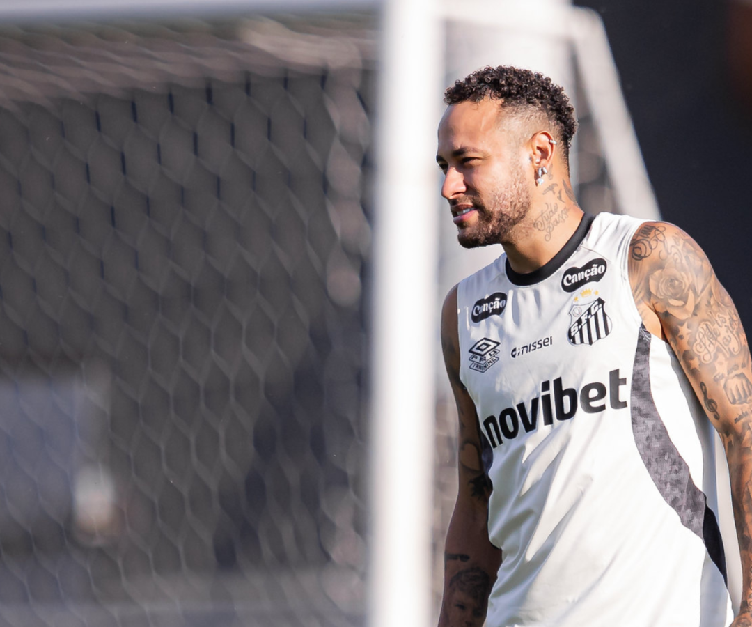 Foto: Raul Baretta / Santos FC