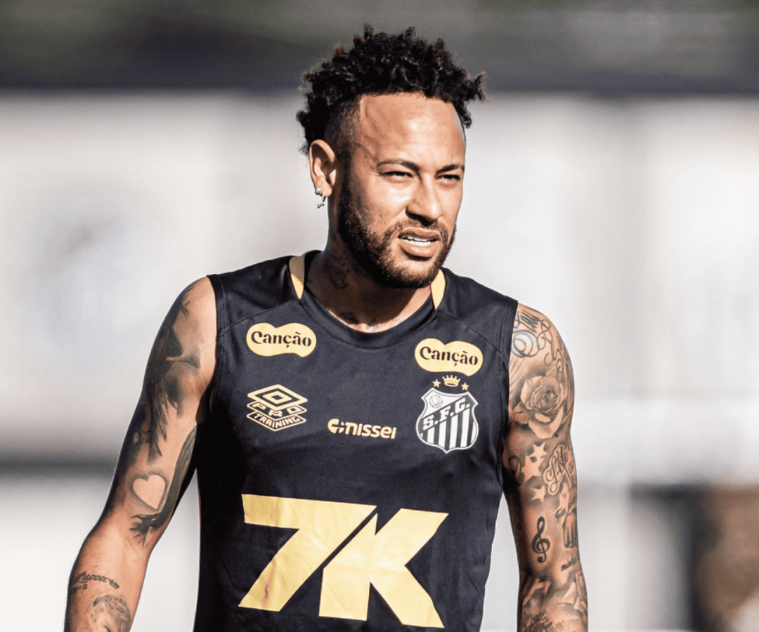 Foto: Raul Baretta / Santos FC