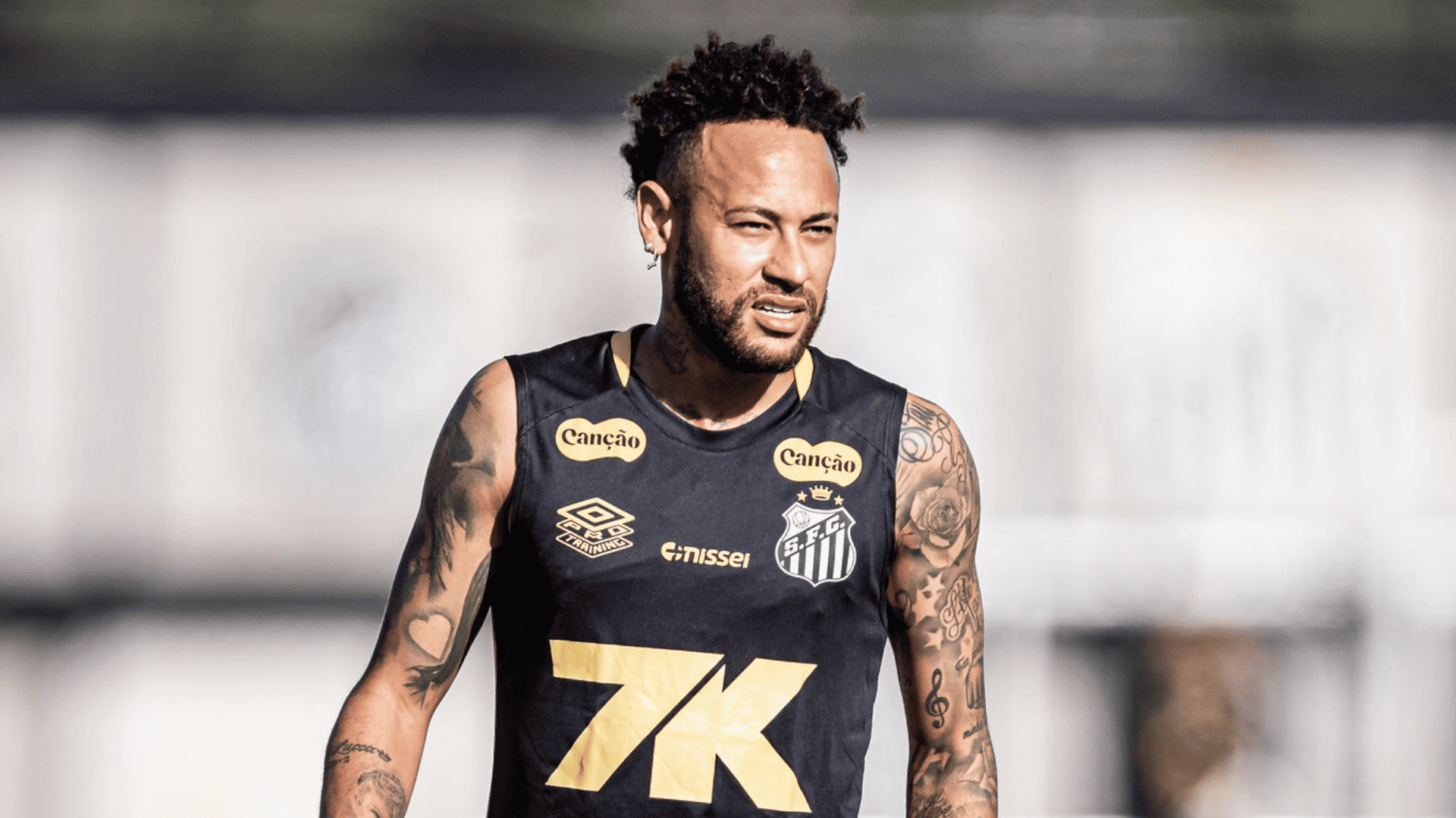 Foto: Raul Baretta / Santos FC