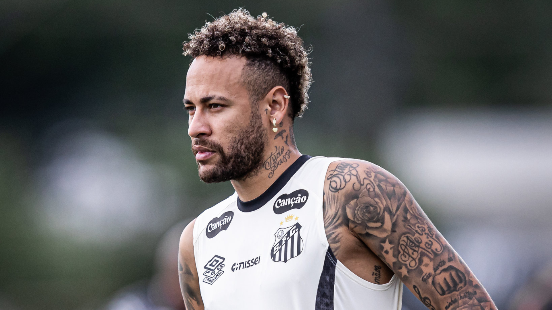 Foto: Raul Baretta / Santos FC