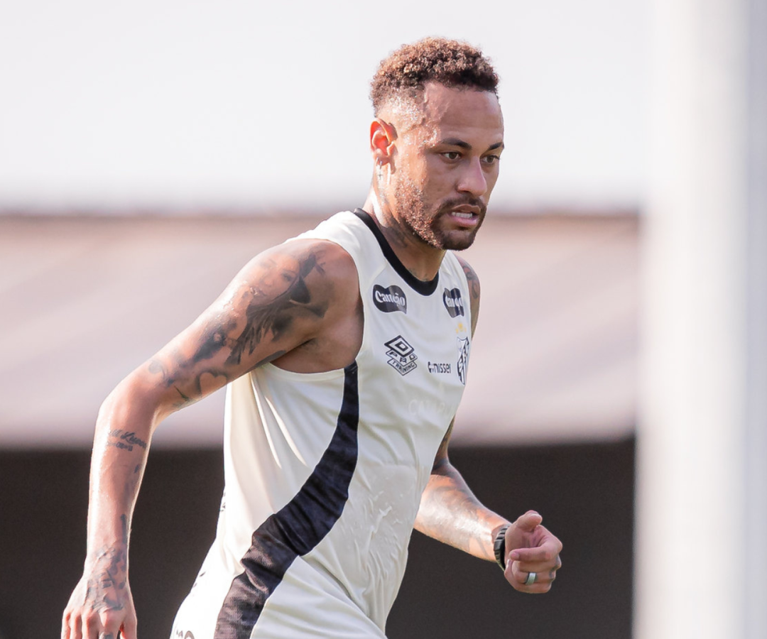 Foto: Raul Baretta / Santos FC