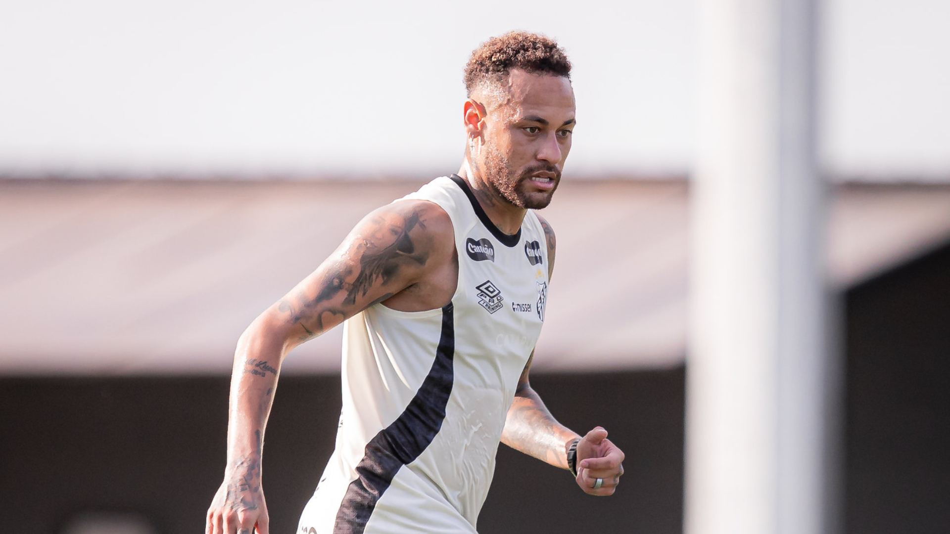 Foto: Raul Baretta / Santos FC