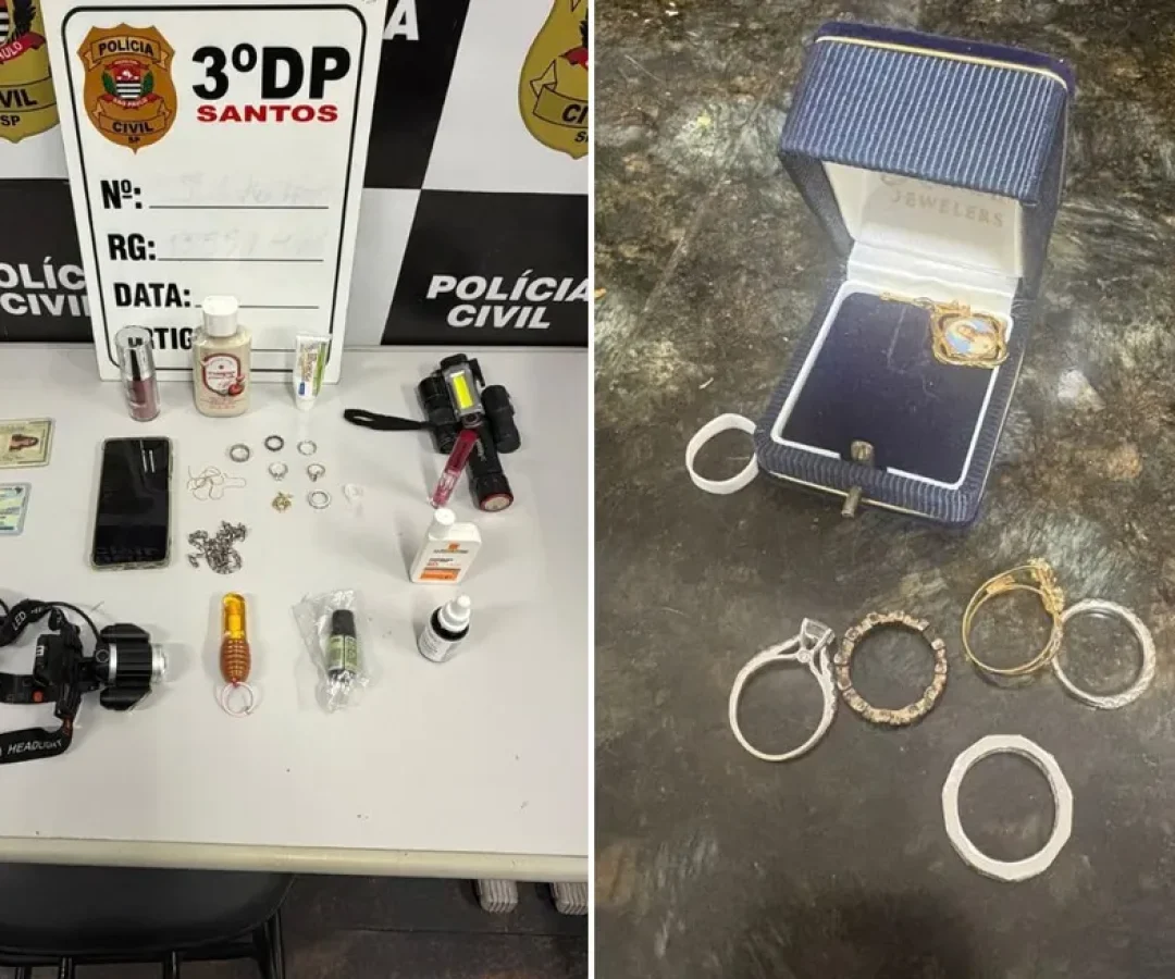Uma diarista de 44 anos, suspeita de tentar furtar joias e outros objetos de um apartamento na Ponta da Praia, em Santos, ganhou liberdade provisória após ser presa em flagrante.