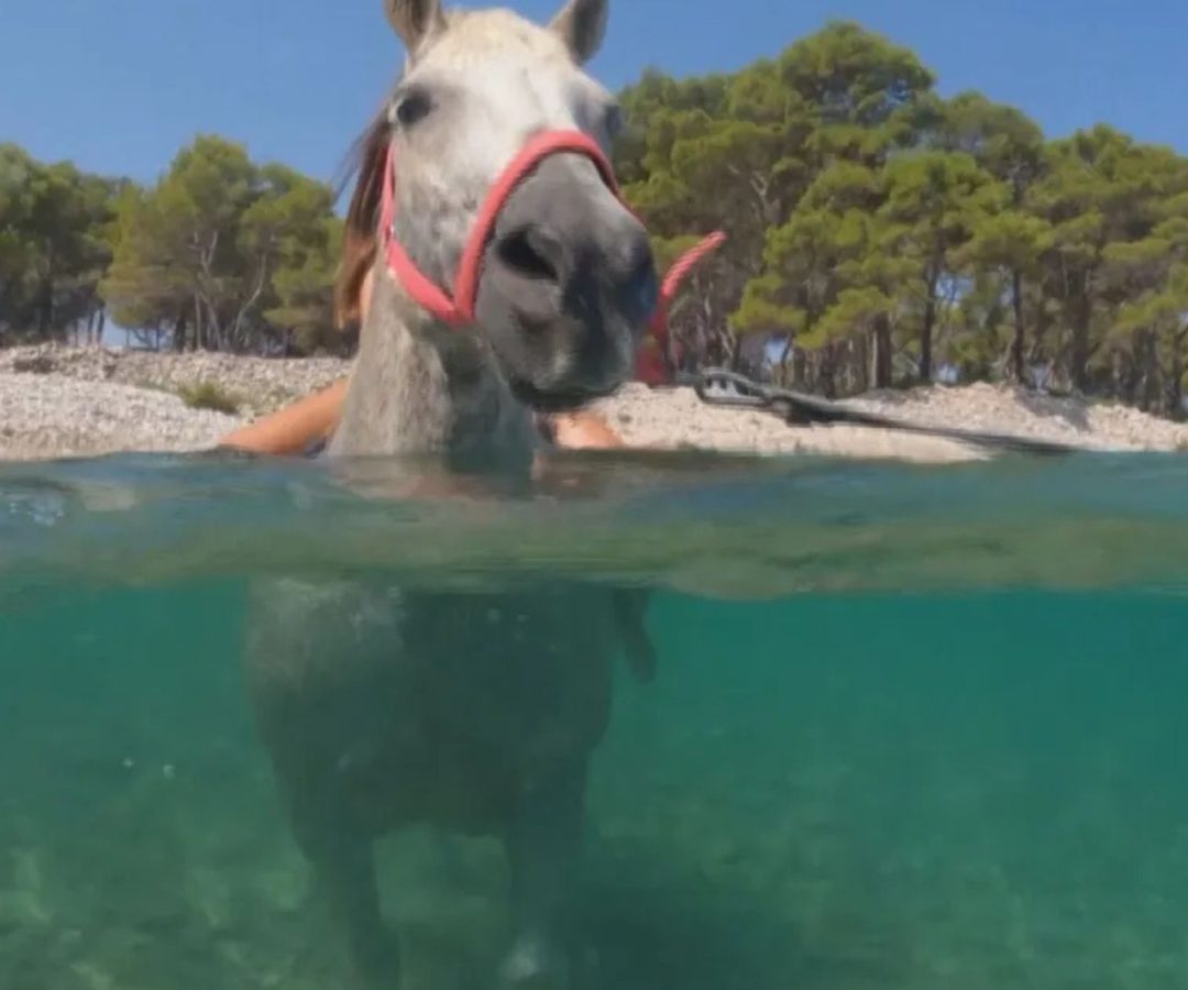 onda de calor na Europa