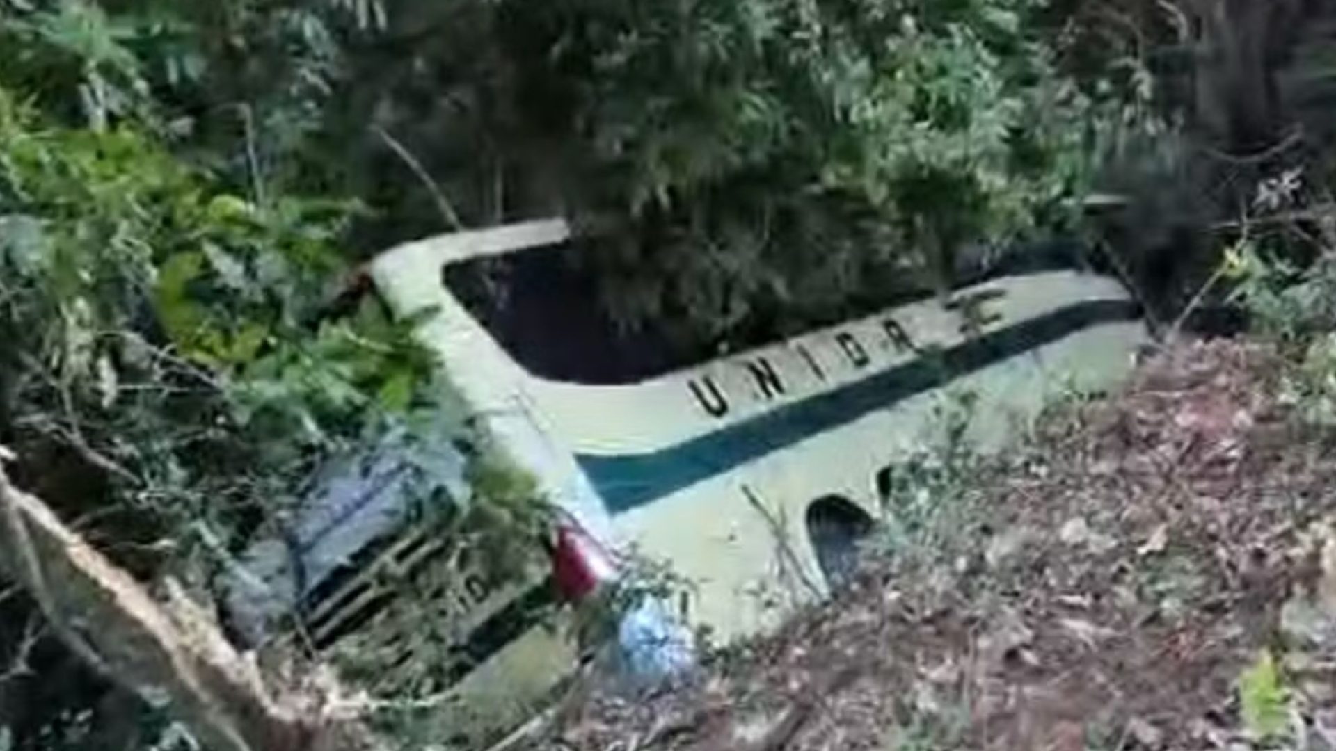 ônibus de Juiz de Fora