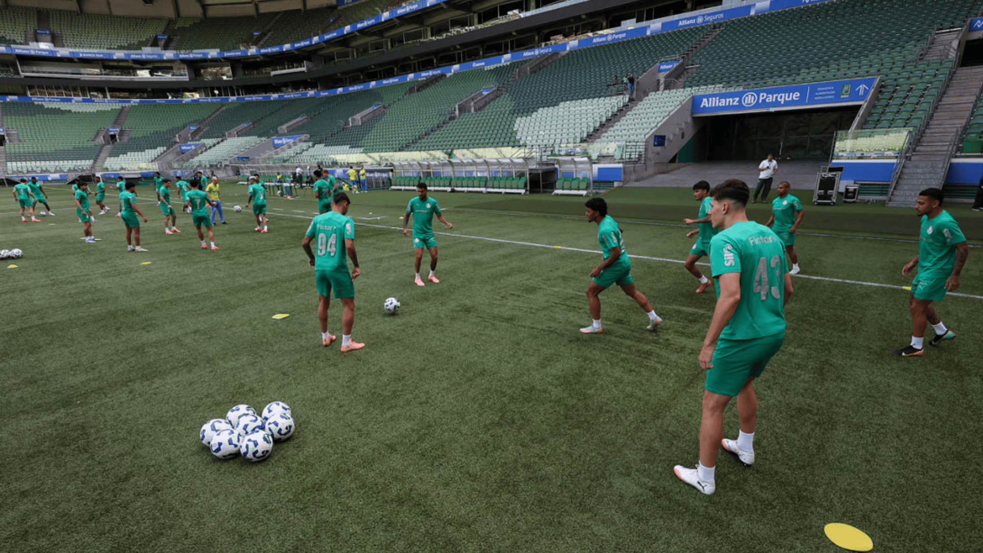 Foto: Cesar Greco / Palmeiras / by Canon