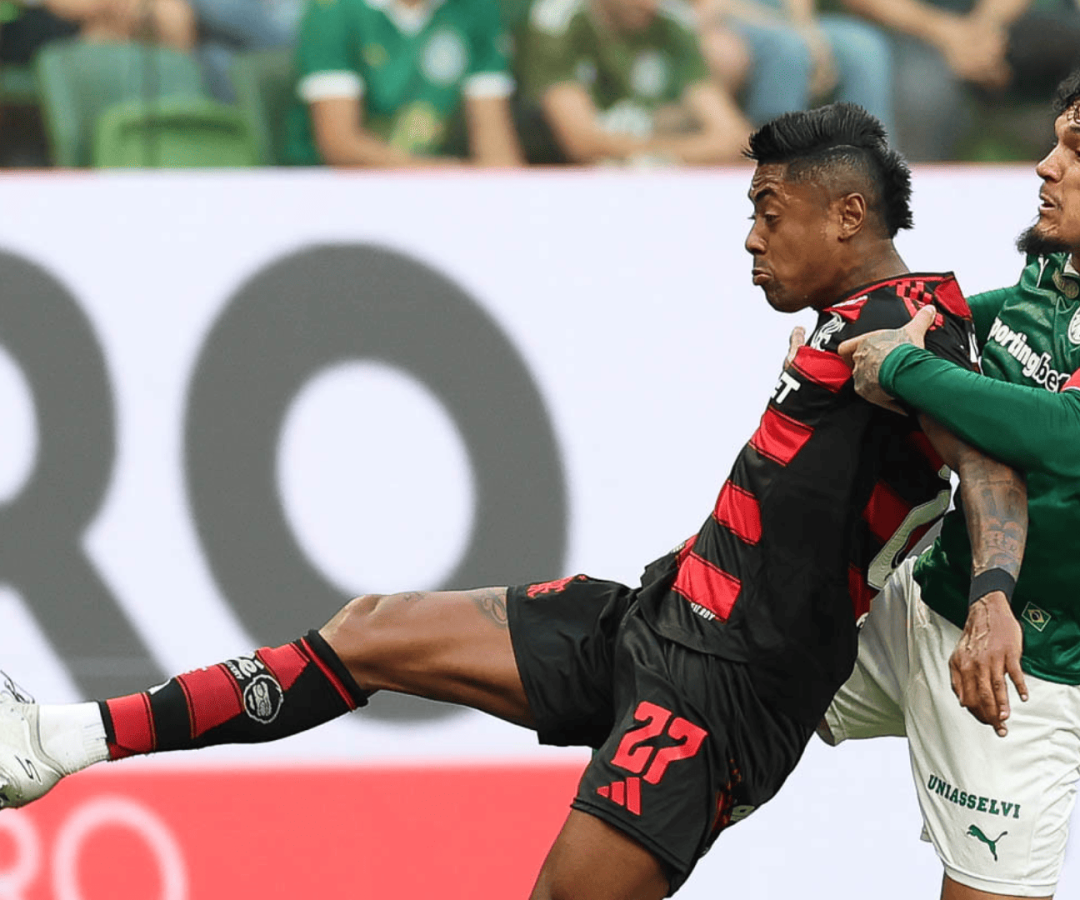 Foto: Cesar Greco / Palmeiras / by Canon