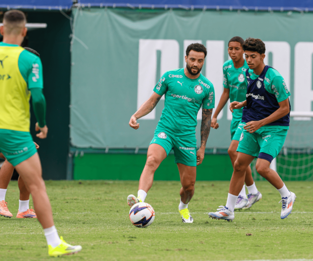 Foto: Fabio Menotti / Palmeiras / by Canon
