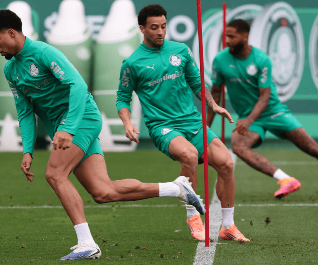 Foto: Cesar Greco / Palmeiras / by Canon