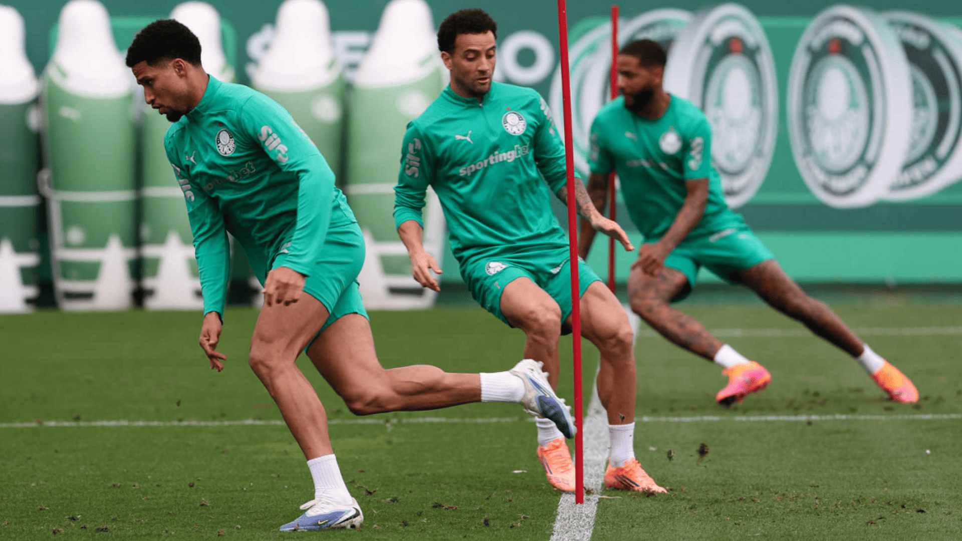 Foto: Cesar Greco / Palmeiras / by Canon