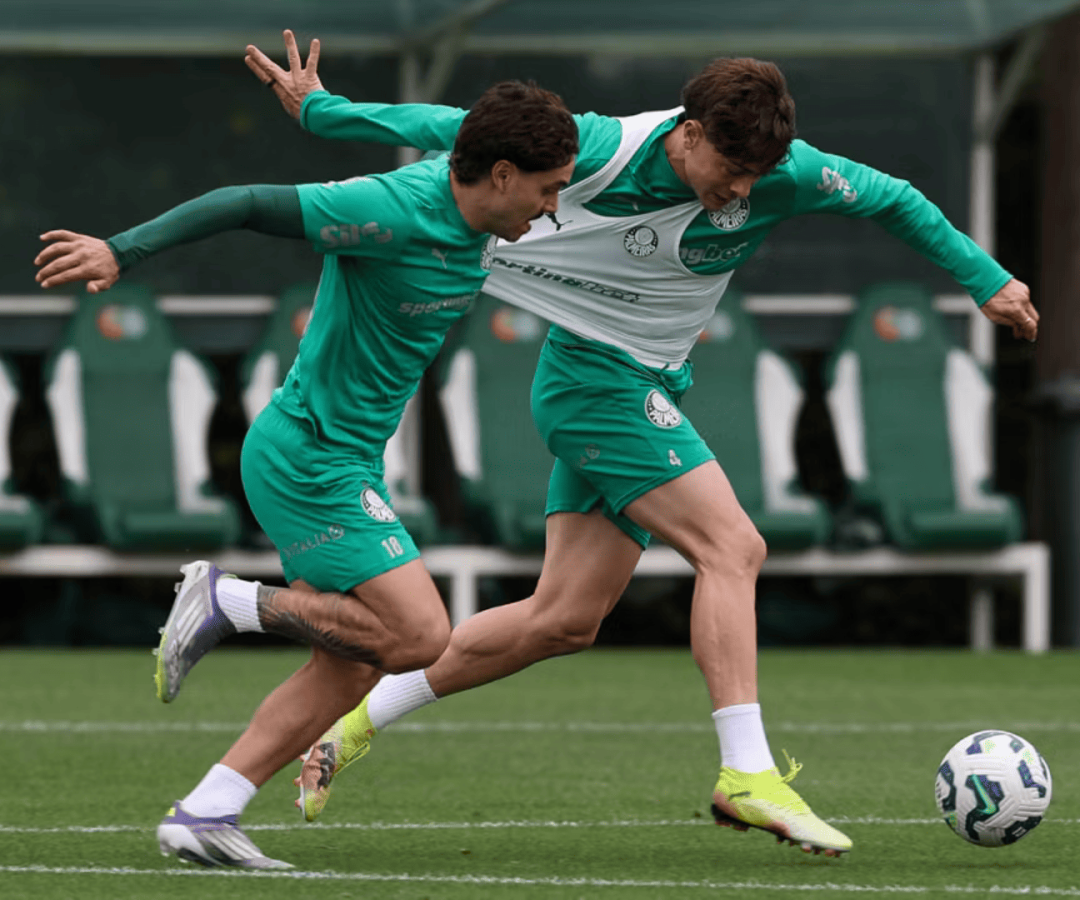 Foto: Cesar Greco / Palmeiras / by Canon