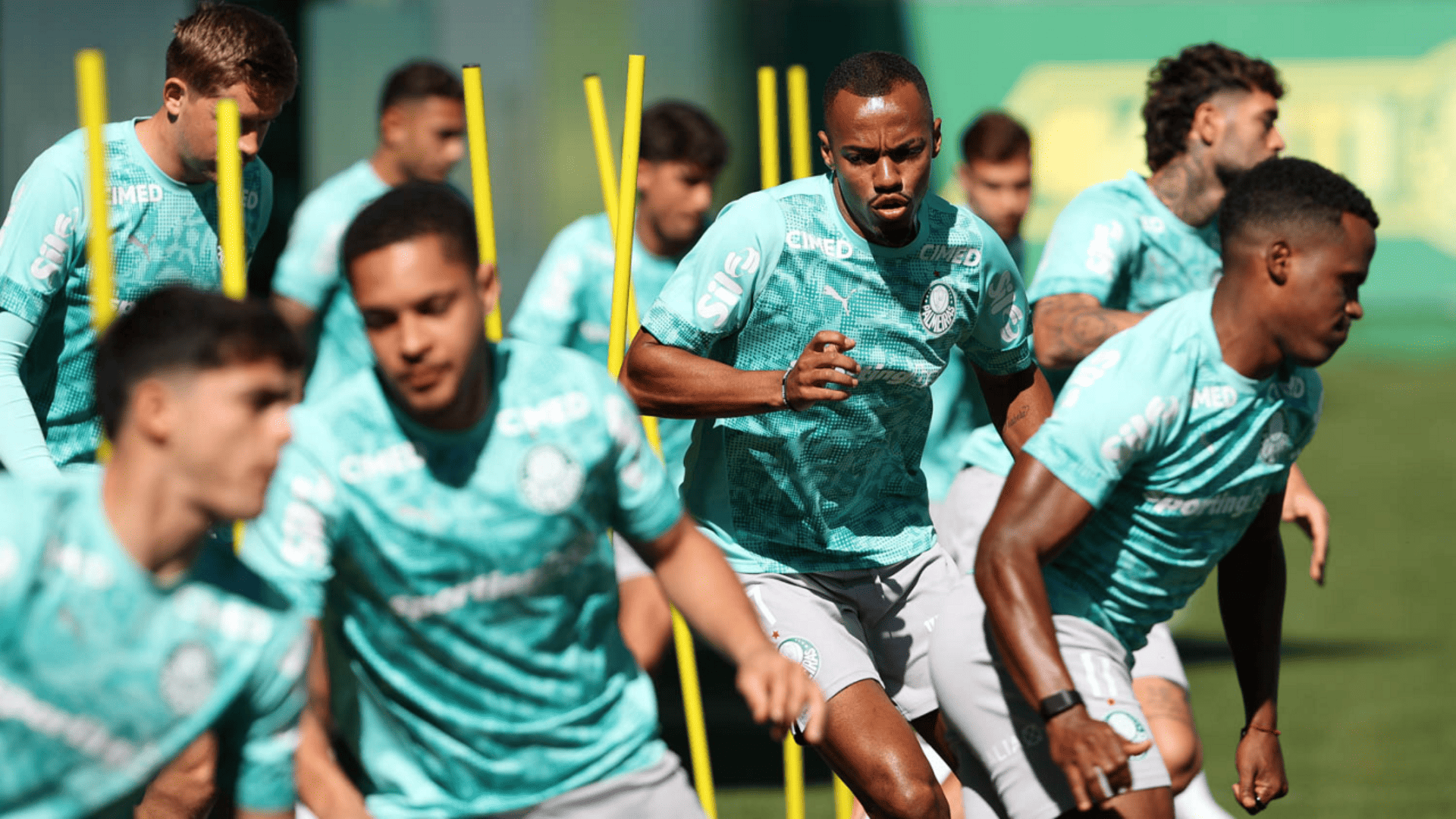 Foto: Cesar Greco / Palmeiras / by Canon