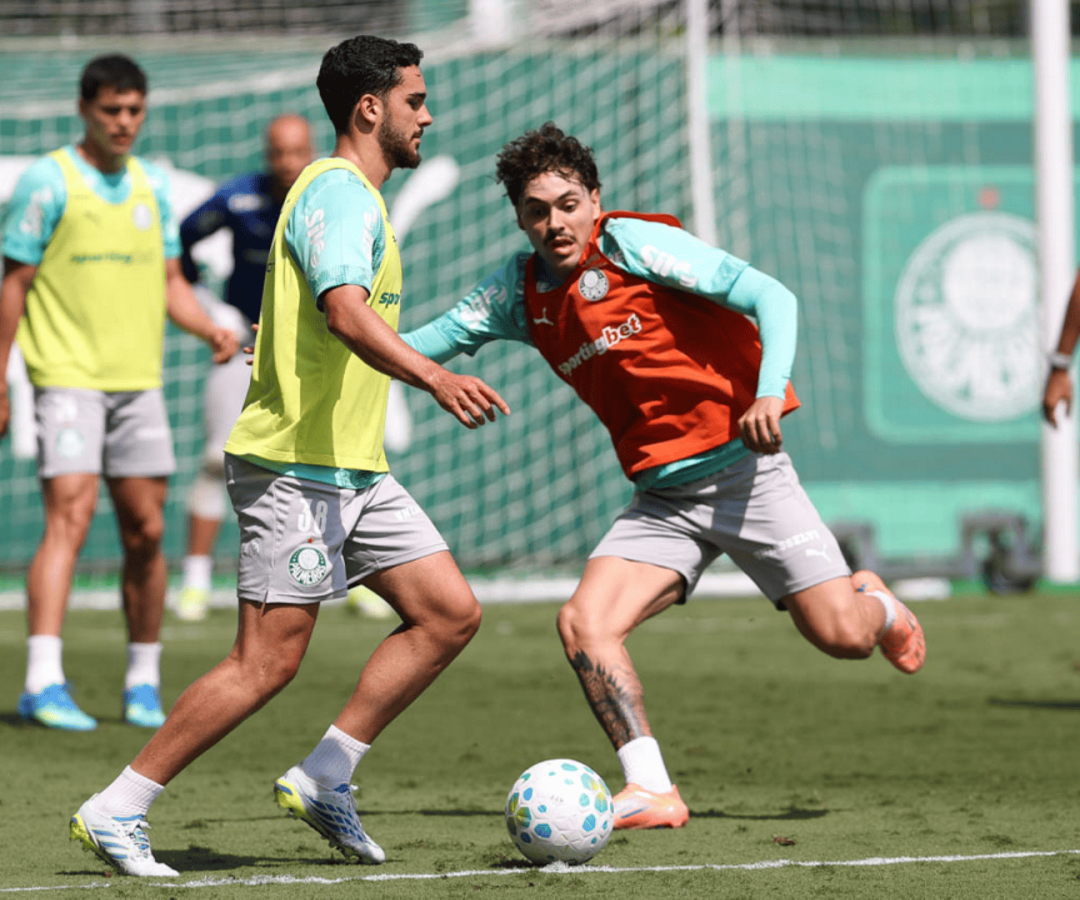 Foto: Cesar Greco / Palmeiras / by Canon