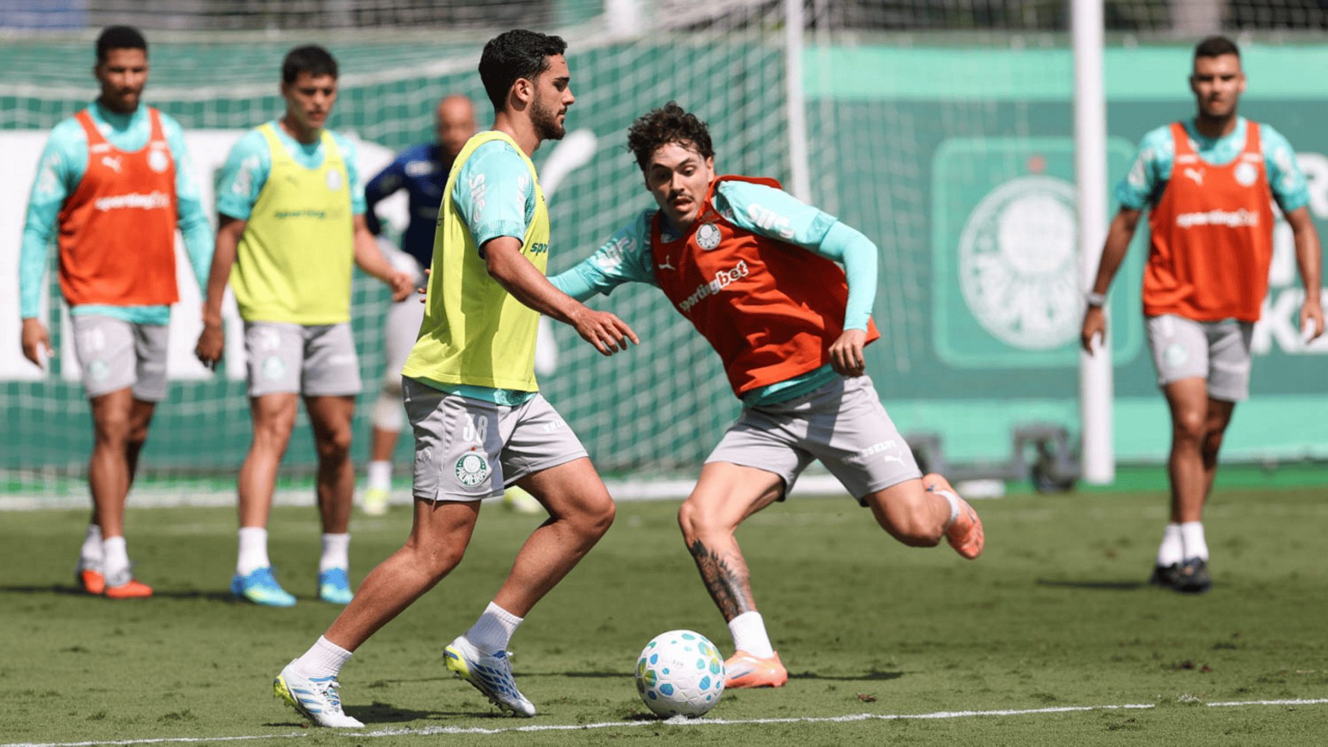 Foto: Cesar Greco / Palmeiras / by Canon