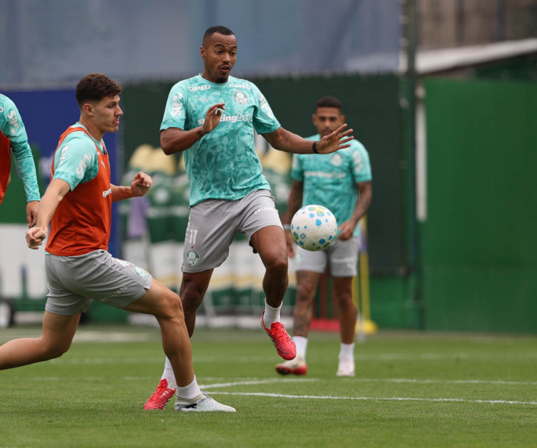 Foto: Cesar Greco / Palmeiras / by Canon