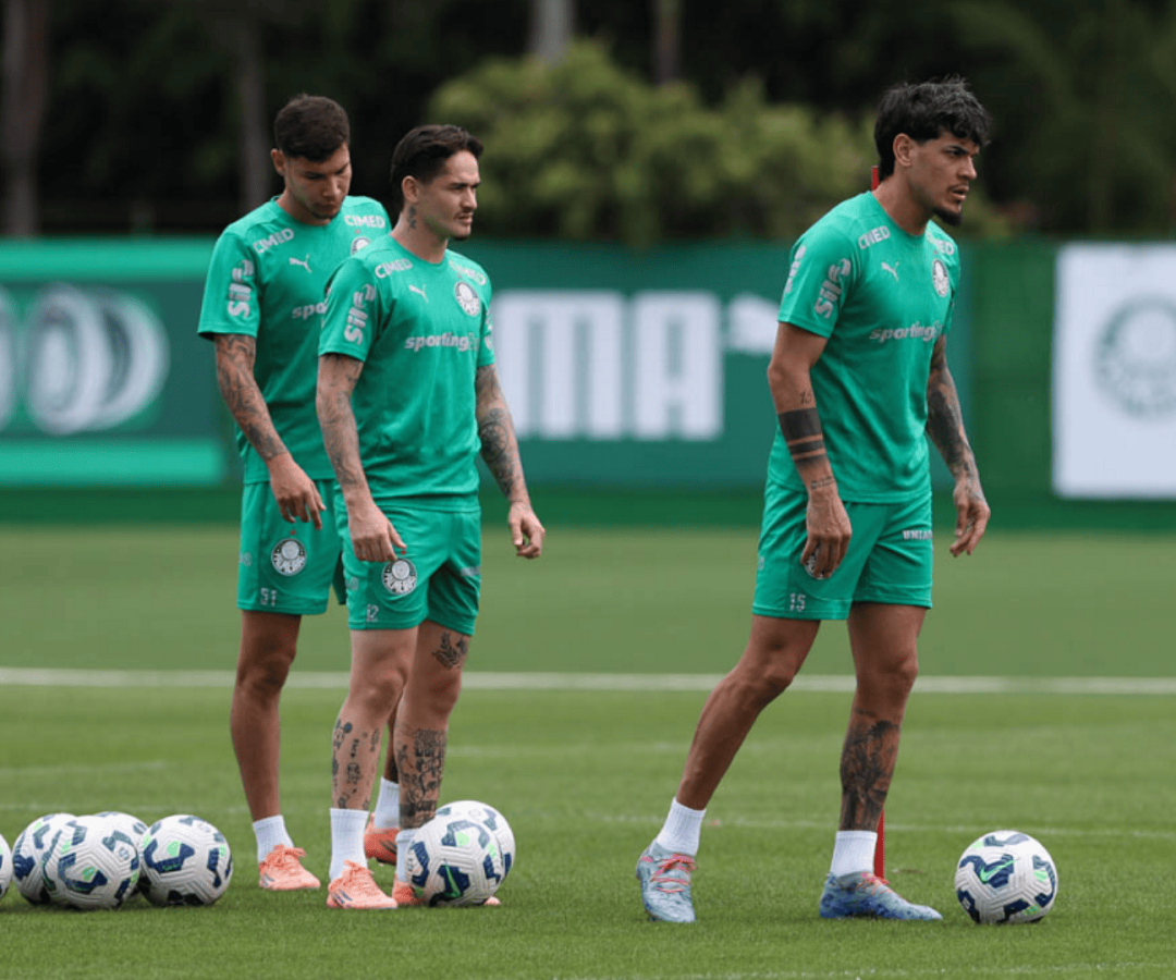 Foto: Cesar Greco / Palmeiras / by Canon