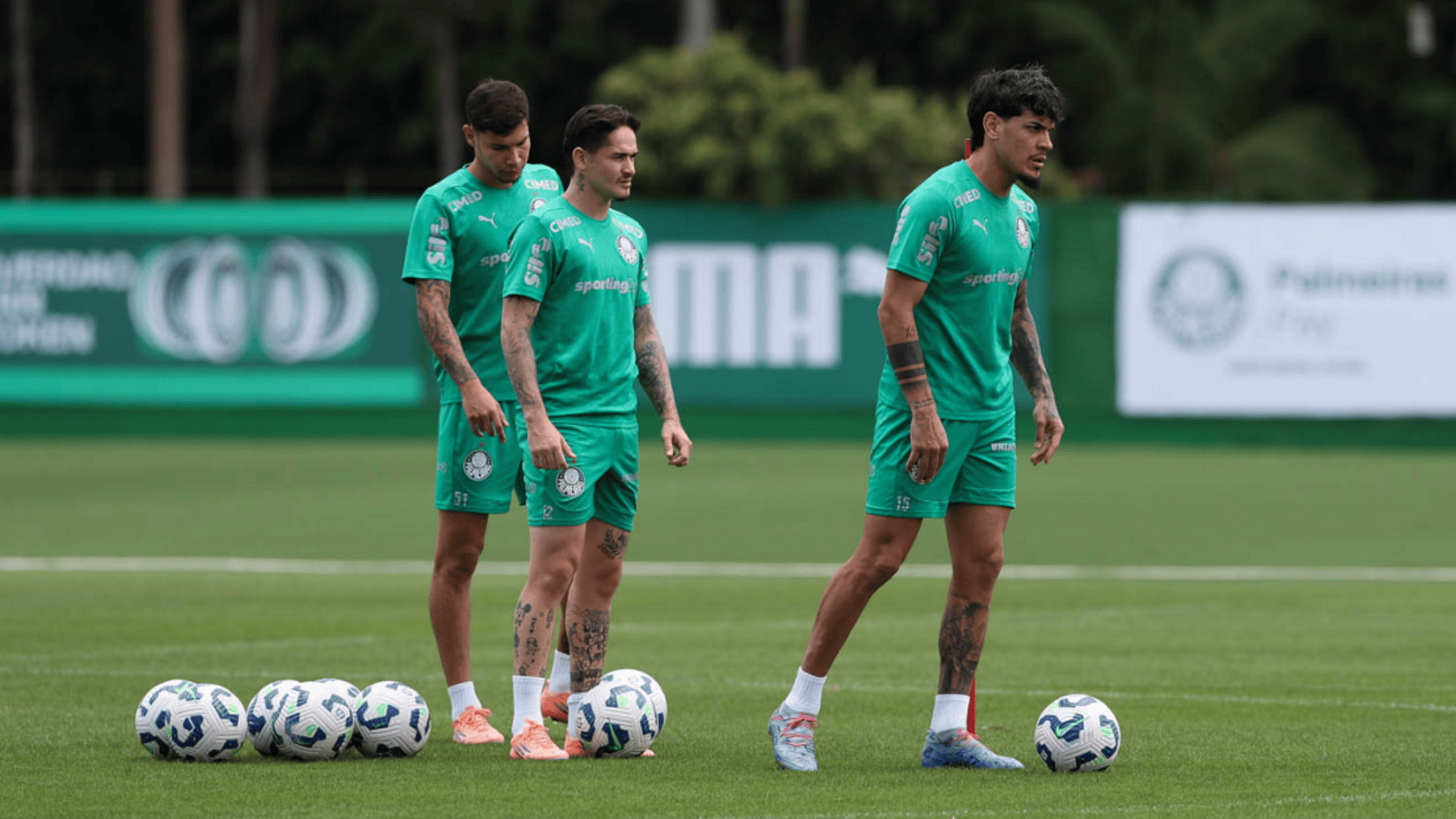 Foto: Cesar Greco / Palmeiras / by Canon