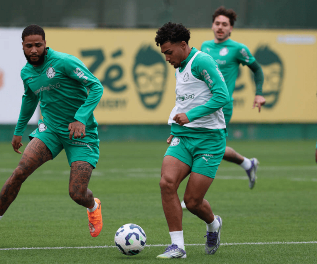 Foto: Cesar Greco / Palmeiras / by Canon