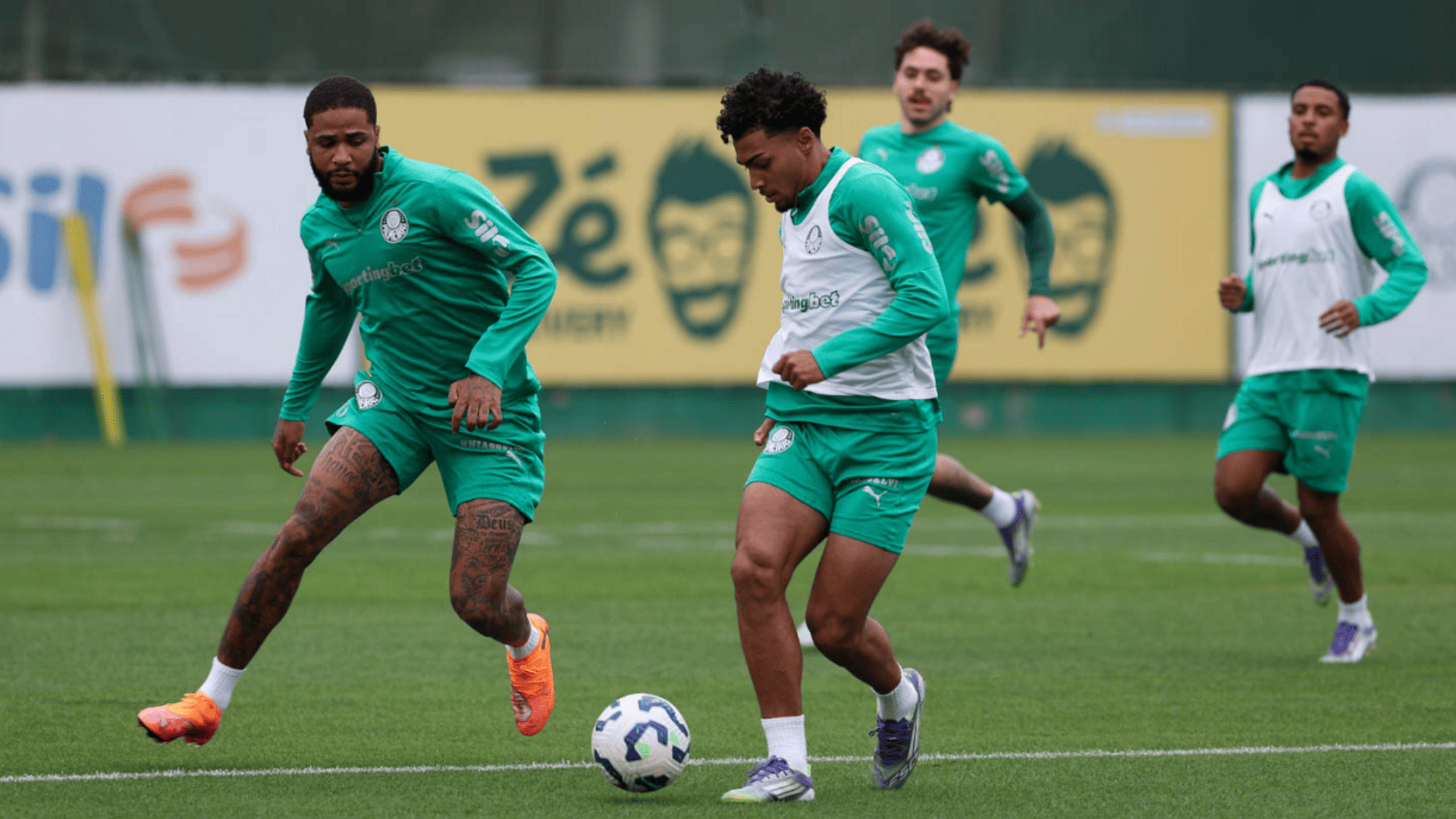 Foto: Cesar Greco / Palmeiras / by Canon