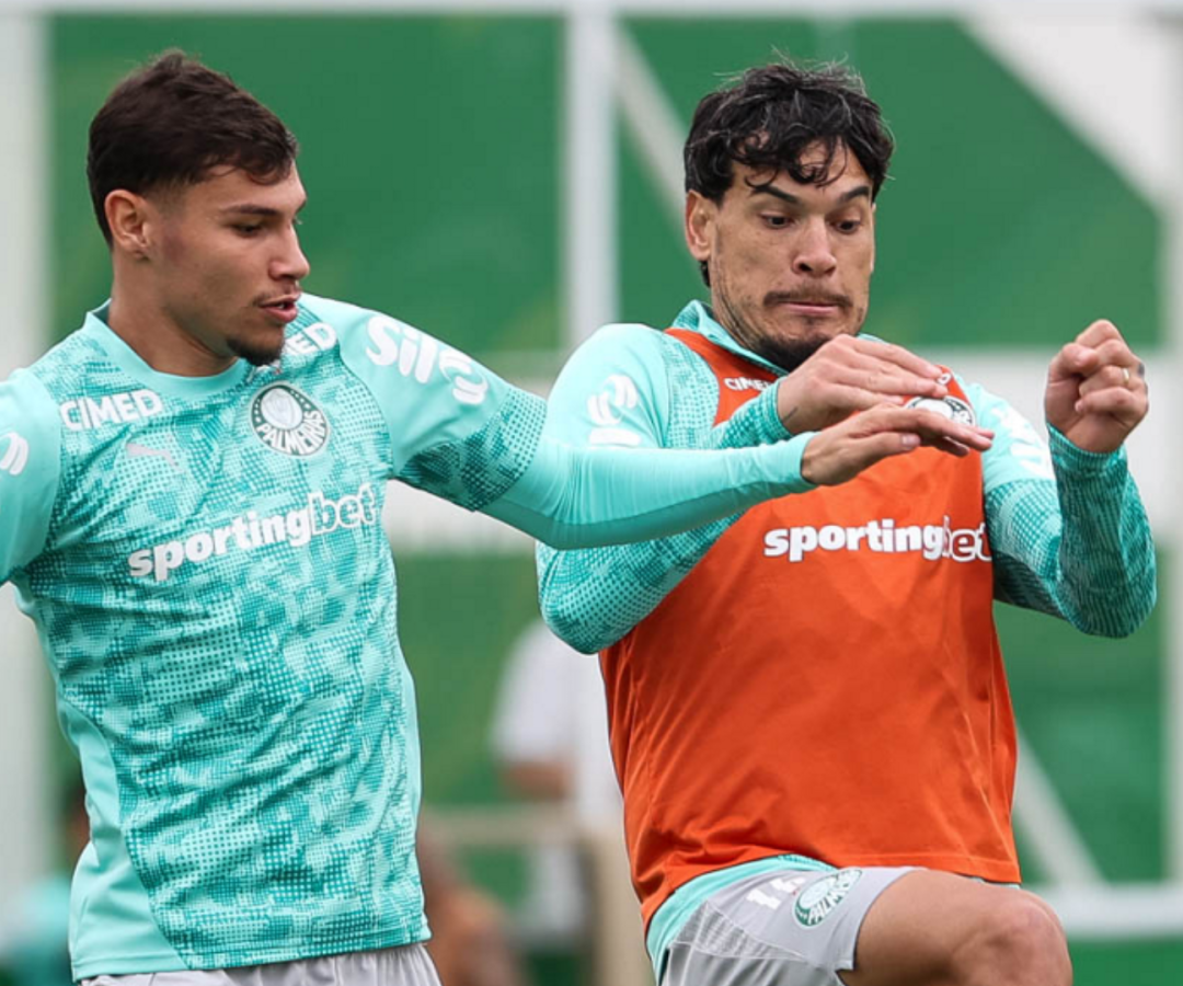 Foto: Cesar Greco / Palmeiras / by Canon