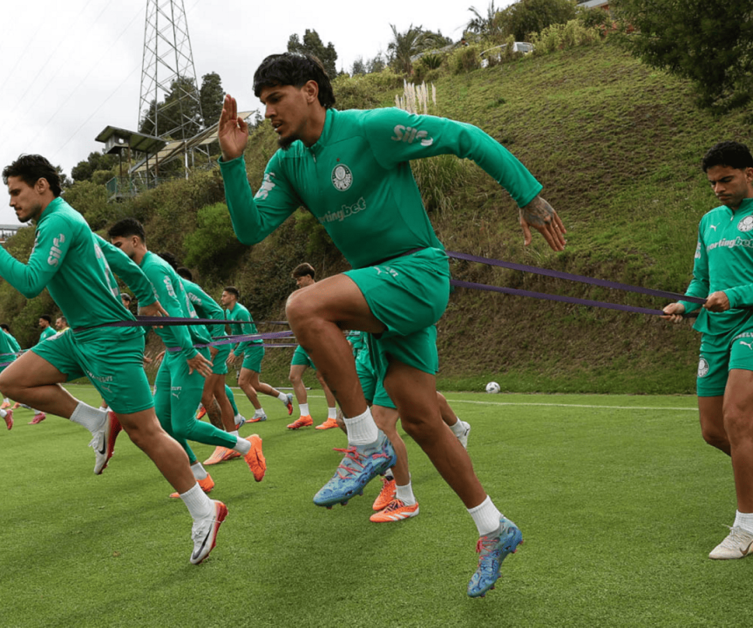 Foto: Cesar Greco / Palmeiras / by Canon