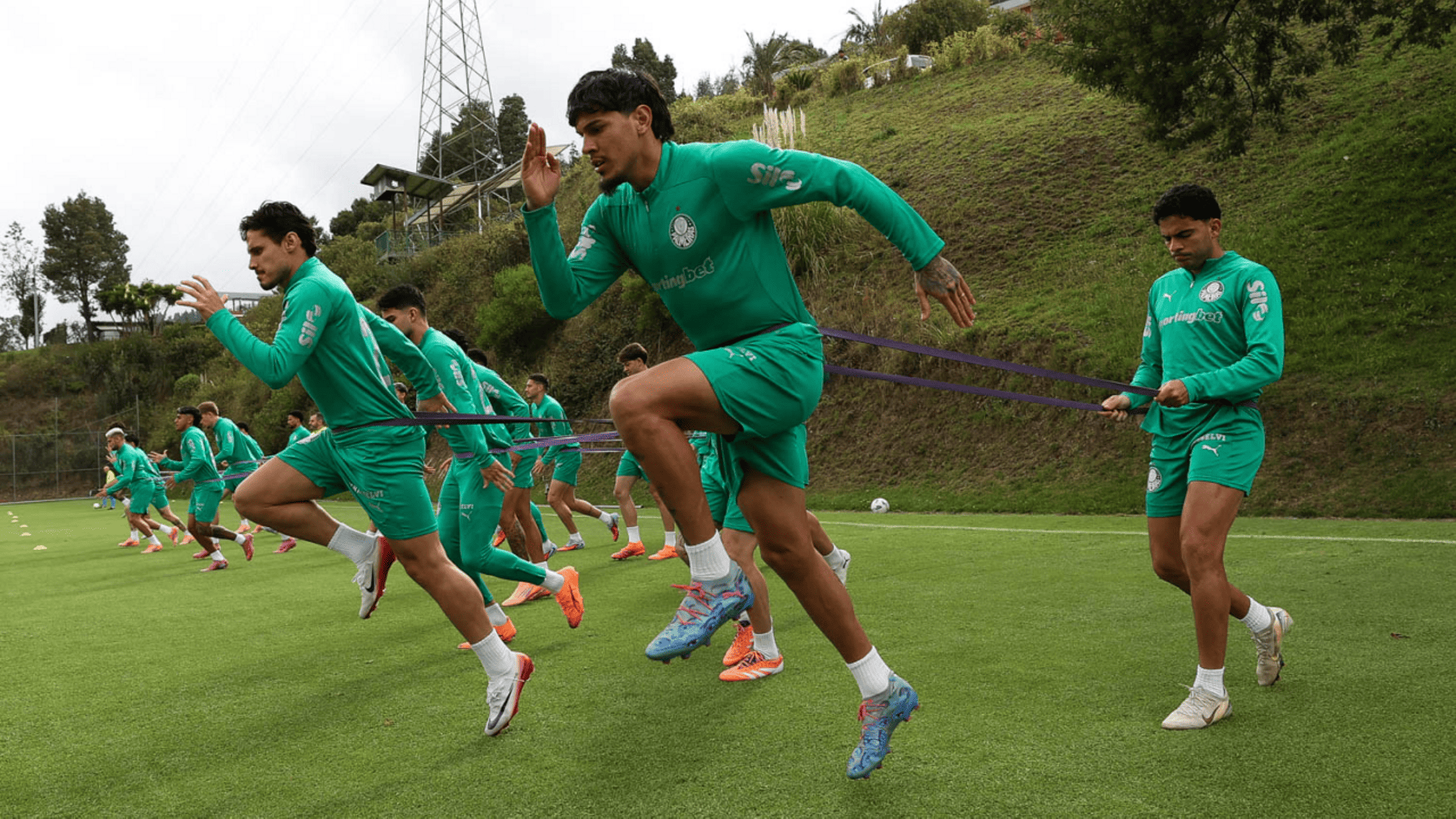 Foto: Cesar Greco / Palmeiras / by Canon
