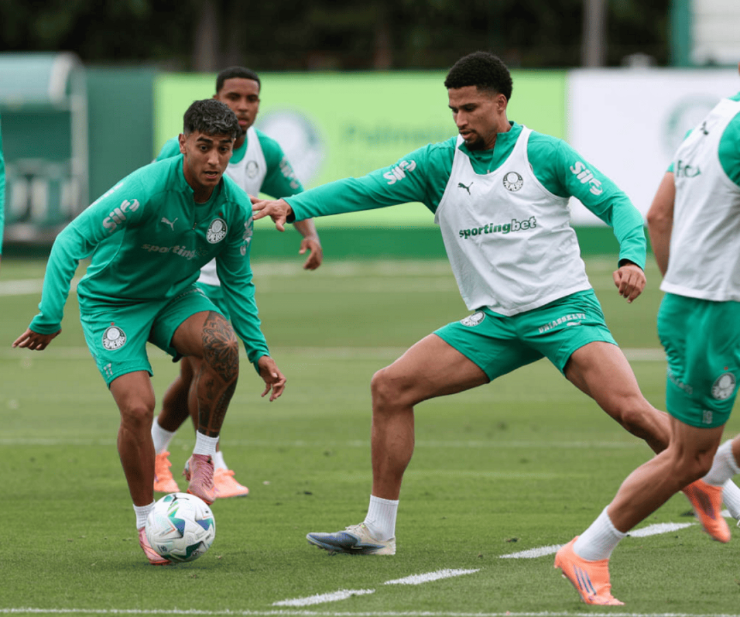 Foto: Cesar Greco / Palmeiras / by Canon