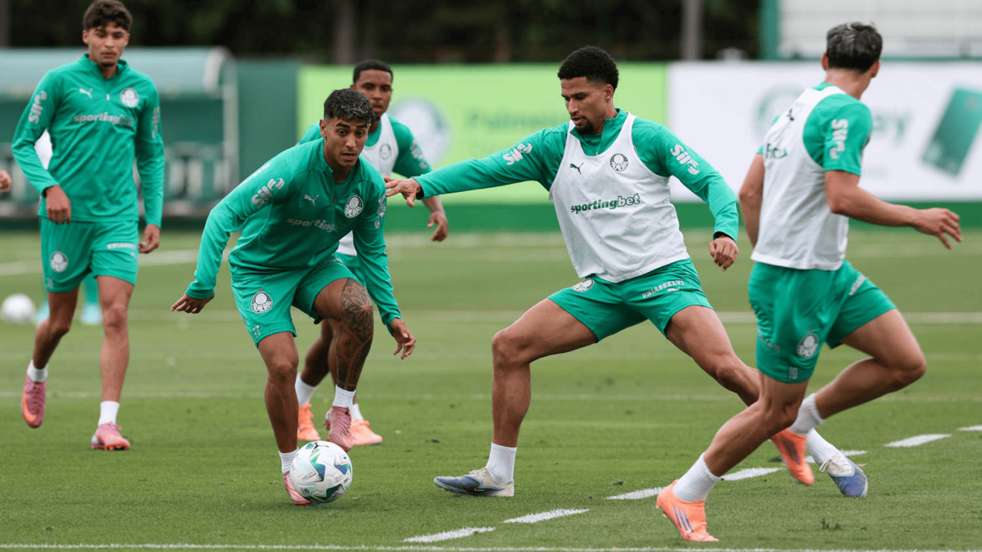 Foto: Cesar Greco / Palmeiras / by Canon