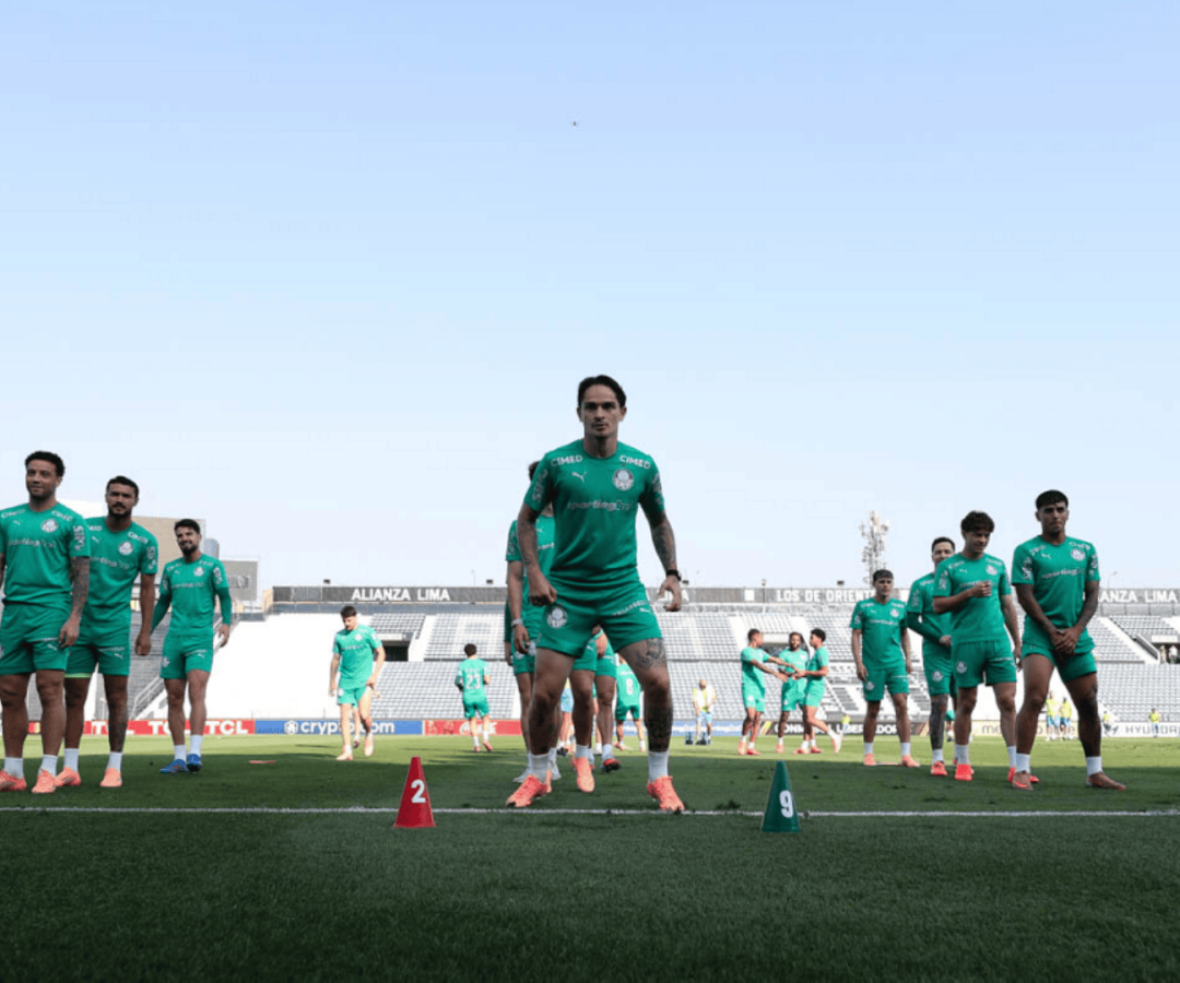 Foto: Cesar Greco / Palmeiras / by Canon