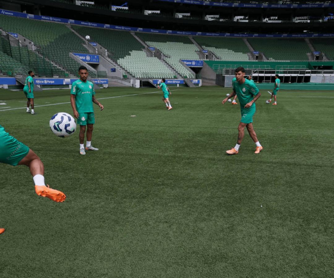 Foto: Cesar Greco / Palmeiras / by Canon