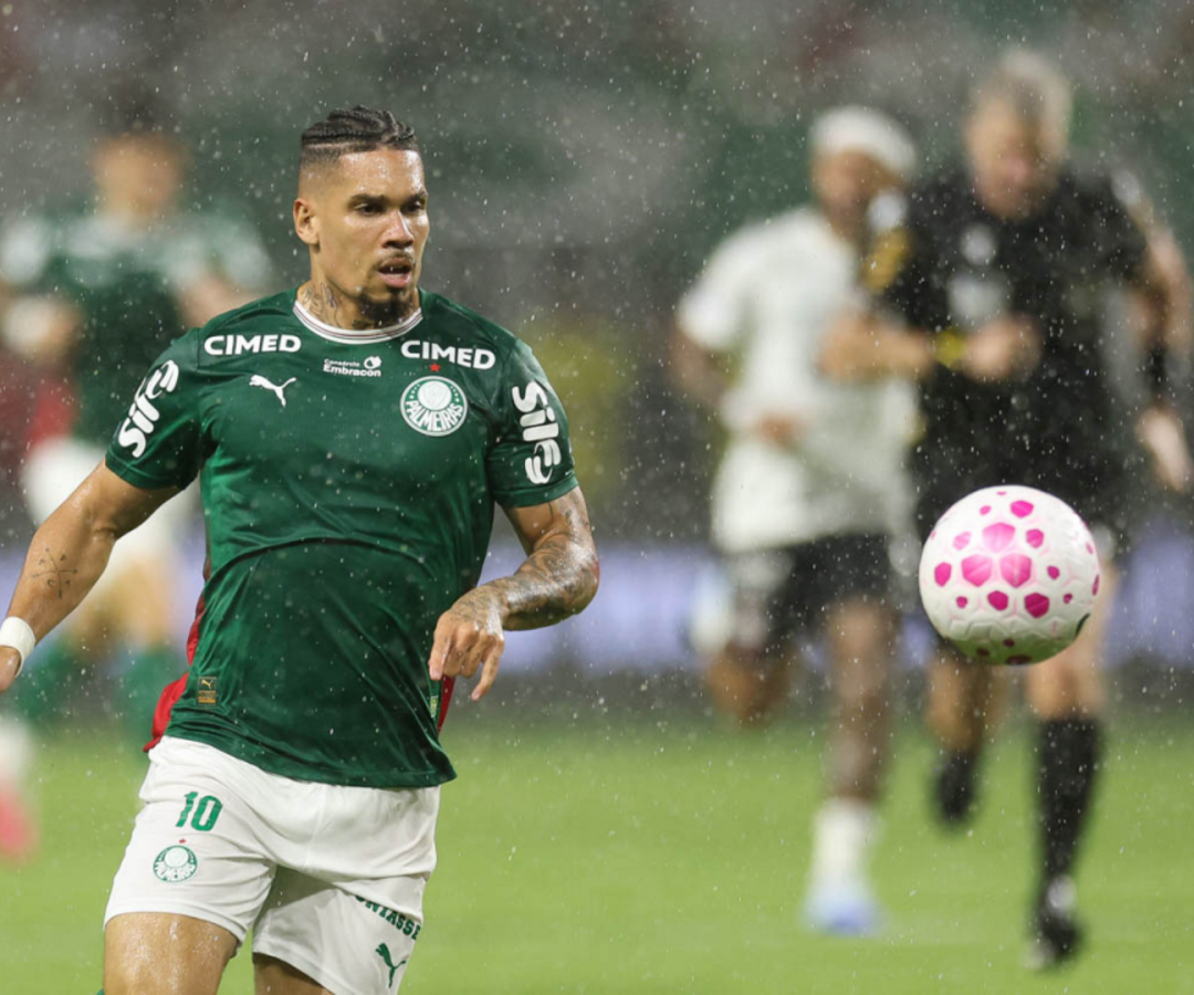 Foto: Cesar Greco / Palmeiras / by Canon