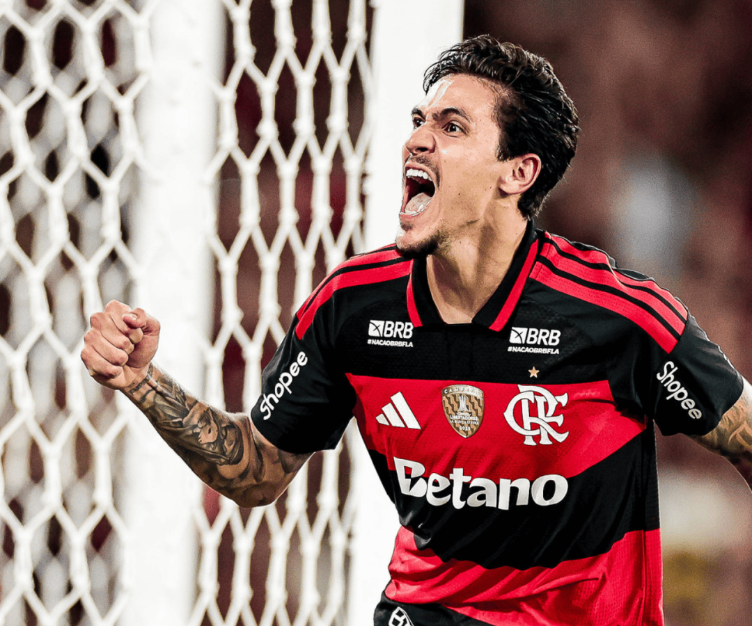 Foto: Gilvan de Souza / Flamengo