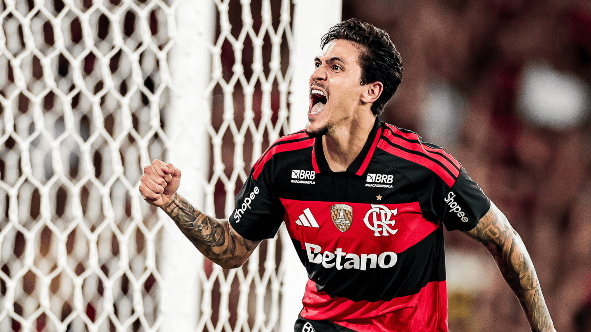 Foto: Gilvan de Souza / Flamengo