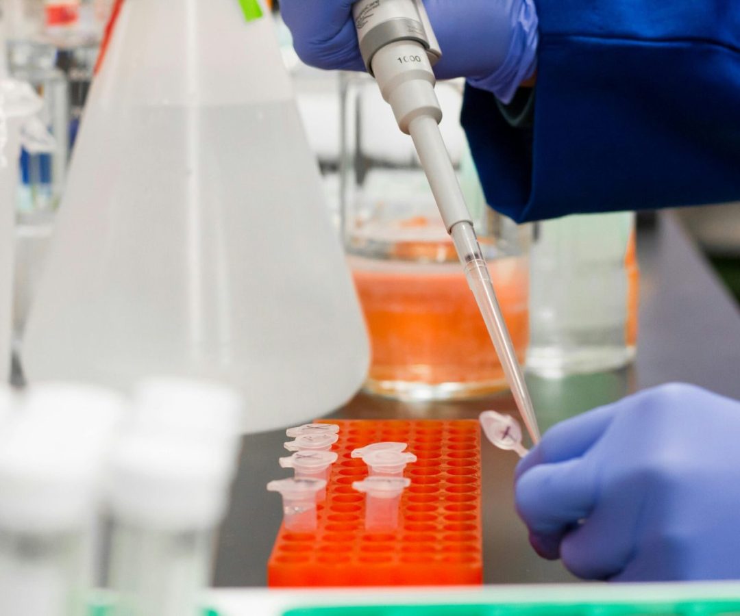 Foto de Martin Lopez: https://www.pexels.com/pt-br/foto/pessoa-colocando-uma-gota-no-tubo-de-ensaio-954583/