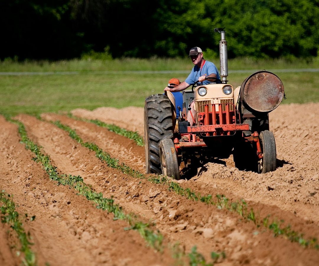 Foto mostrando pequeno agricultor (Foto de Mark Stebnicki: https://www.pexels.com/pt-br/foto/homem-andando-de-trator-vermelho-no-campo-2252618/)